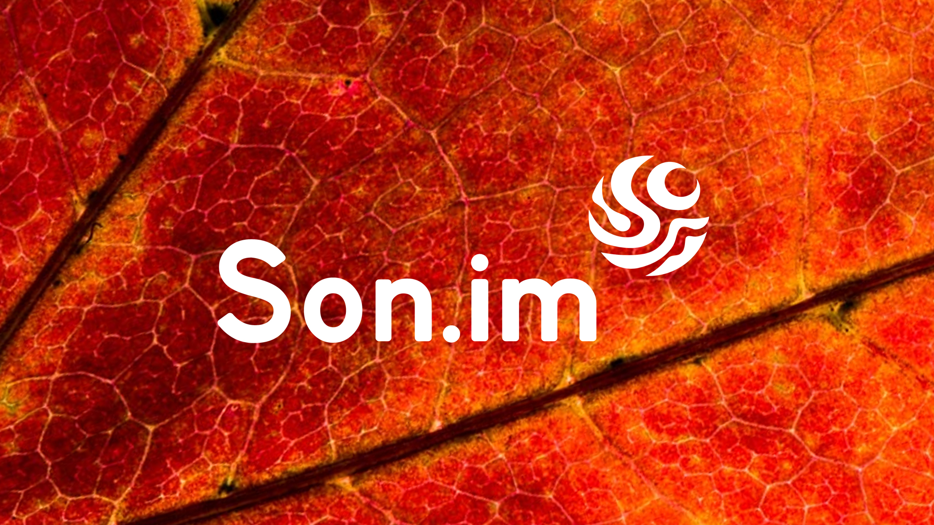 Sonim_logo_BG_Autumn_Leaf