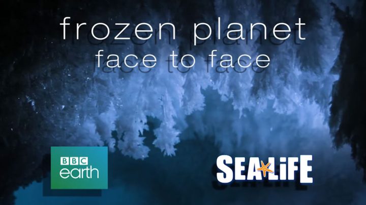 FROZEN_PLANET_SEALIFE_thumb_Son_im FROZEN_PLANET_SEALIFE_thumb_Son_im
